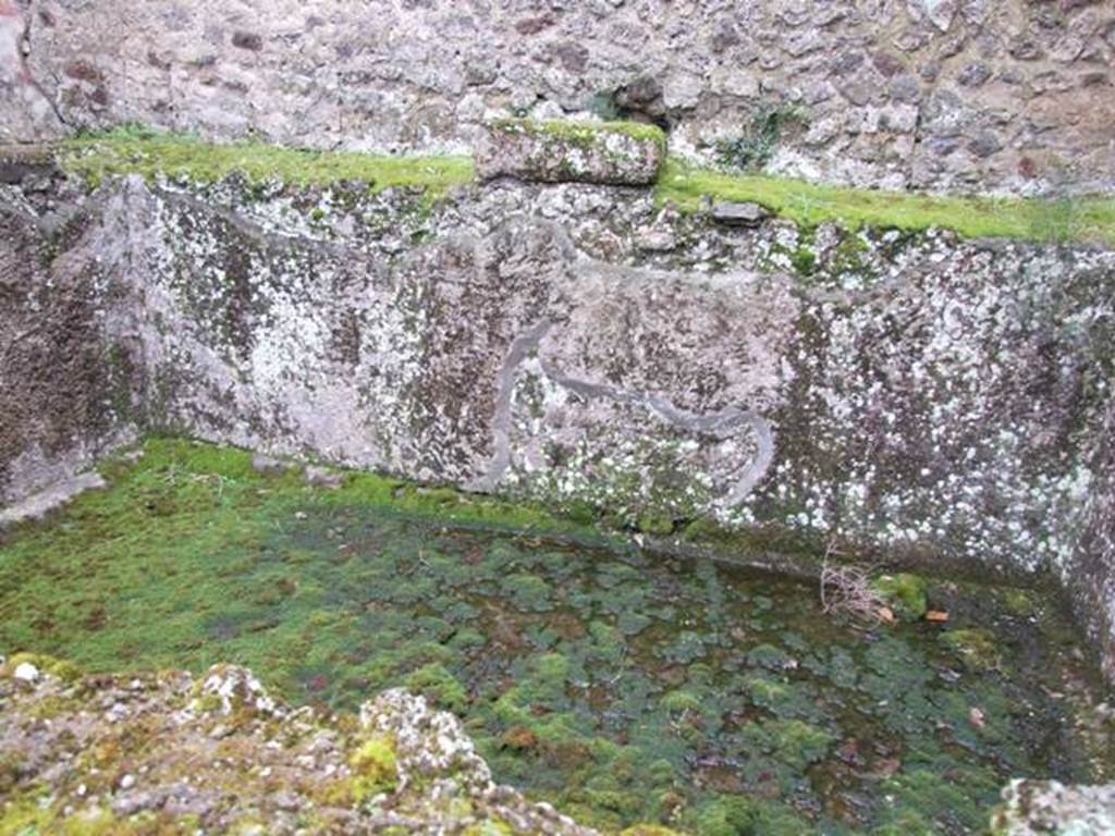 IX.8.6 Pompeii. March 2009. Room 31. Swimming pool.