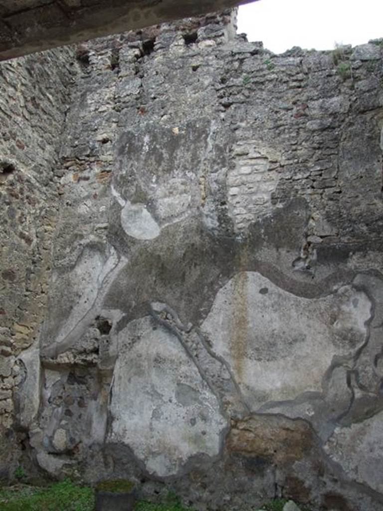 IX.8.7 Pompeii. March 2009. South wall.