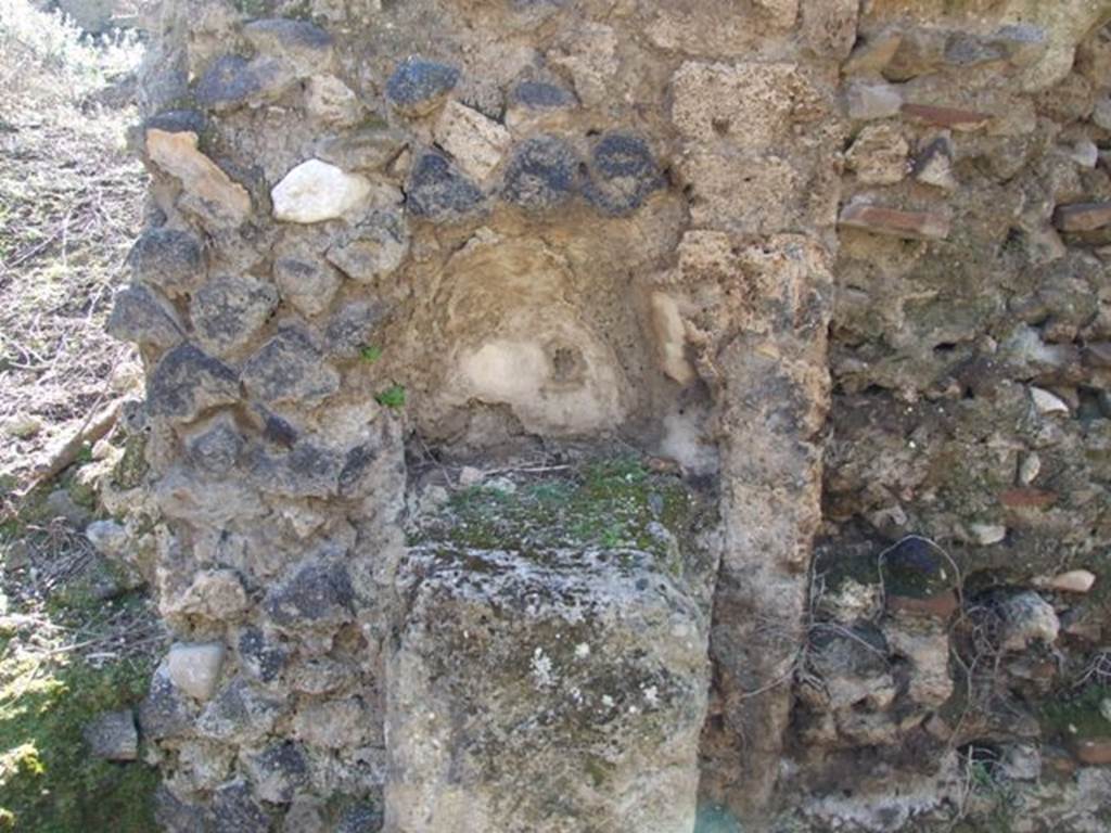IX.8.8 Pompeii. March 2009. Street altar with small semicircular niche built into the wall above, on north side of entrance doorway. According to NdS, on the left above the niche on a layer of flaked lime but hardly visible, were the painted remains of the upper part of a Genius (?) with cornucopia. On this was written in black letters SALV….. In the centre was a large cornucopia surrounded by garlands. At the top, the layer of lime had fallen, and on an underneath layer written in black lettering, wording was visible -
SALVTEI
C
See Notizie degli Scavi, 1888, p.521-2