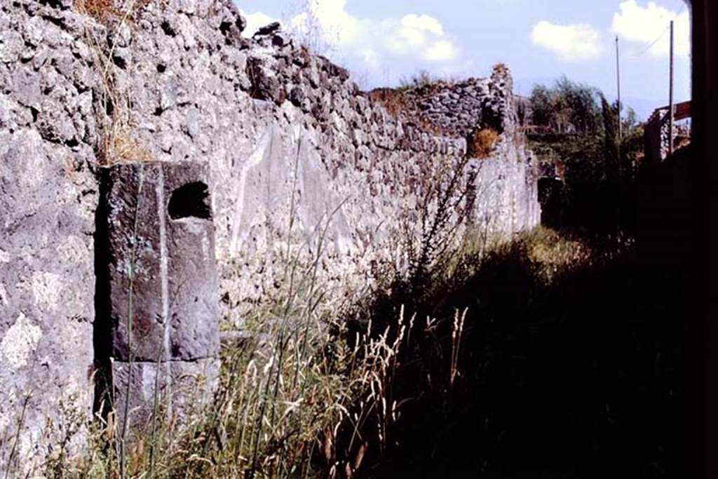 IX.9.1 Pompeii, (side wall). 1978. Roadway, looking south. Photo by Stanley A. Jashemski.
Source: The Wilhelmina and Stanley A. Jashemski archive in the University of Maryland Library, Special Collections (See collection page) and made available under the Creative Commons Attribution-Non Commercial License v.4. See Licence and use details. J78f0278