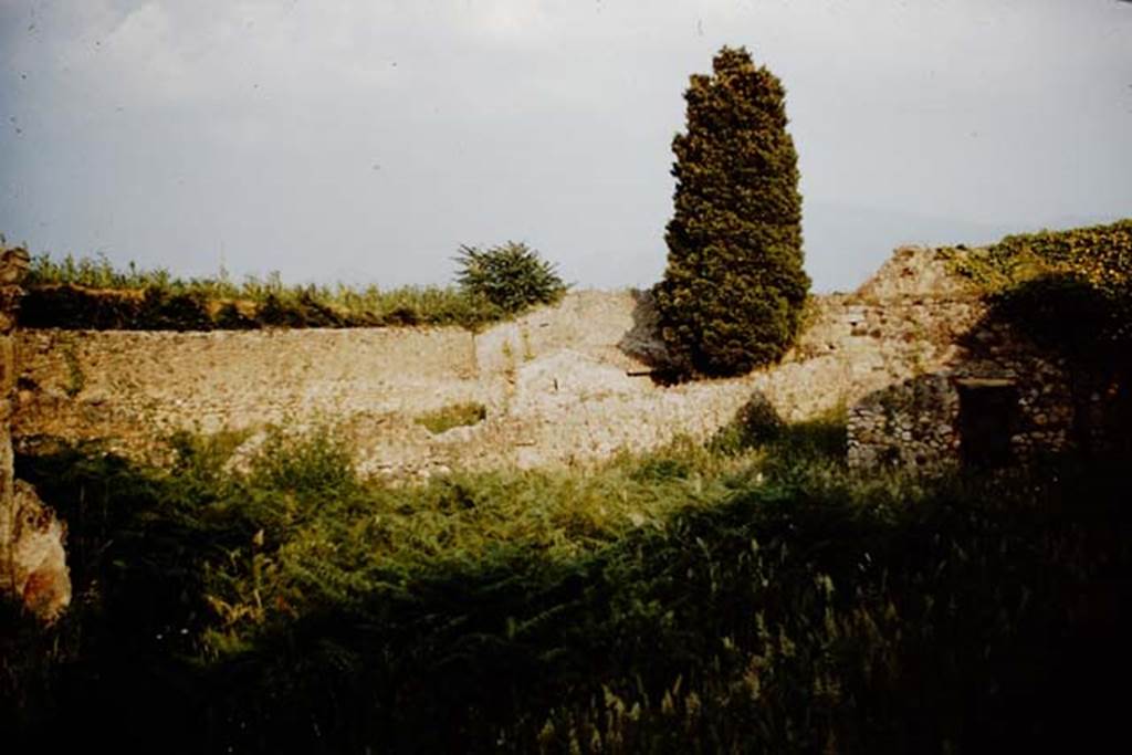 IX.9.4 Pompeii. 1961. Looking south-east across garden towards IX.9.6. Photo by Stanley A. Jashemski.
The doorway to the latrine on the south side of the garden, is on the right.
Source: The Wilhelmina and Stanley A. Jashemski archive in the University of Maryland Library, Special Collections (See collection page) and made available under the Creative Commons Attribution-Non Commercial License v.4. See Licence and use details.
J61f0658
According to Jashemski –
“Attached to the east wall was a masonry triclinium, now destroyed, unlike the majority at Pompeii for the lectus summus was longer than the lectus imus.
The rectangular table between the couches was covered with a piece of white marble. The couches were finished with red stucco.
Near the west wall of the garden, opposite the triclinium, was a small masonry pulvinate altar.
Nearby, attached to the west wall was a masonry hearth, protected by a small vault.”
See Jashemski, W. F., 1993. The Gardens of Pompeii, Volume II: Appendices. New York: Caratzas. (p.246).
According to Soprano –
“Il triclinio era addossato al muro orientale del giardino. Eccezionalmente ha il l. summus piu lungo del l. imus, il che si verifica a Pompei, come ho precedentemente notato, solo in un altro case (see I.8.8/9).
Il piano dei tre letti era inclinato; sul muro di fronte era situato un larario rivestito di stucco attualmente distrutto e, a breve distanza, in un angolo del giardino, stava un piccolo focolare protetto da una volticina.
La mensa, rettangolare, era ricoperta da una lastra di marmo bianco. I tre letti, il muro cui era addossato il l.medius e la mensa erano rivestiti di intonaco rosso, ma di esso non restano oggi che piccole tracce lungo le pareti interne dei tre letti.
See Soprano, P. (1950). I triclini all’aperto di Pompei. (In Pompeiana, raccolta di studi per il secondo centenario degli scavi di Pompei. Napoli, Gaetano Macchiaroli, Editore, P. 303-4, no.20).