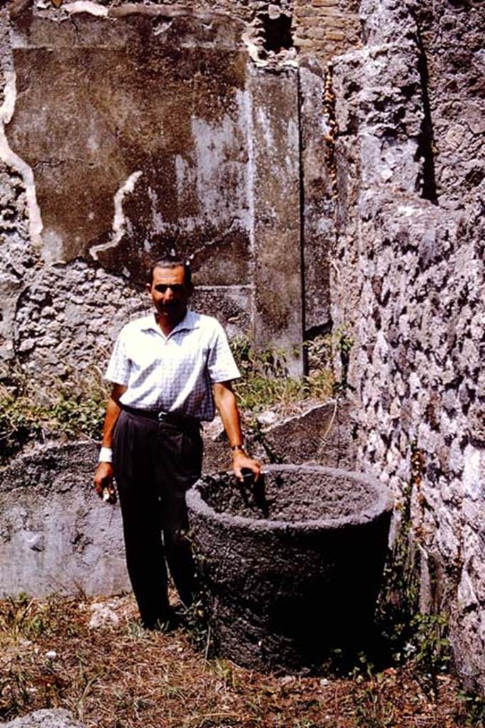 IX.9.6 Pompeii. 1964. Pot in north-east corner, looking north. At the rear is the east portico, and a room belonging to IX.9.9 can be seen behind the broken wall. Photo by Stanley A. Jashemski.
Source: The Wilhelmina and Stanley A. Jashemski archive in the University of Maryland Library, Special Collections (See collection page) and made available under the Creative Commons Attribution-Non Commercial License v.4. See Licence and use details.
J64f2041