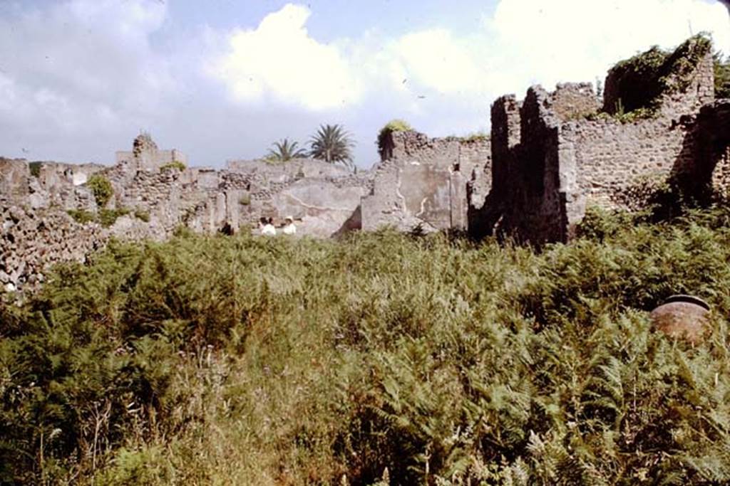 IX.9.6 Pompeii. 1964. Looking north from garden area. Photo by Stanley A. Jashemski.
Source: The Wilhelmina and Stanley A. Jashemski archive in the University of Maryland Library, Special Collections (See collection page) and made available under the Creative Commons Attribution-Non Commercial License v.4. See Licence and use details.
J64f1118