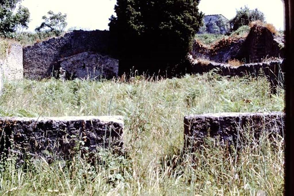 IX.9.6 Pompeii, 1978. Looking south into garden at IX.9.10. Photo by Stanley A. Jashemski.
Source: The Wilhelmina and Stanley A. Jashemski archive in the University of Maryland Library, Special Collections (See collection page) and made available under the Creative Commons Attribution-Non Commercial License v.4. See Licence and use details. J78f0276