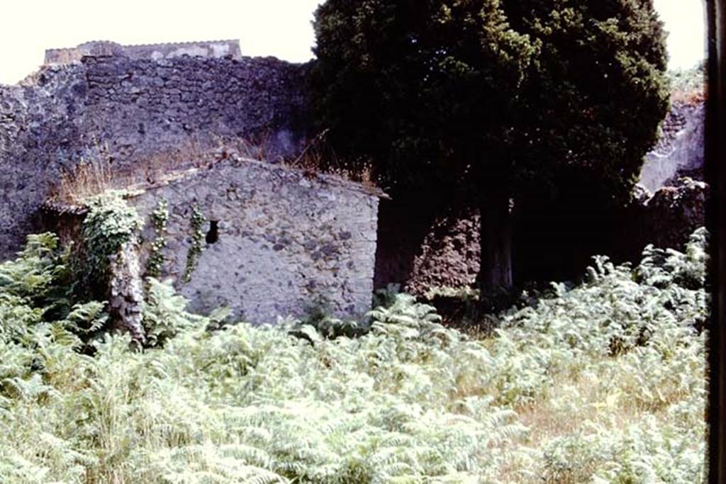 IX.9.6 Pompeii, 1973. Looking south across garden area. Photo by Stanley A. Jashemski.
Source: The Wilhelmina and Stanley A. Jashemski archive in the University of Maryland Library, Special Collections (See collection page) and made available under the Creative Commons Attribution-Non Commercial License v.4. See Licence and use details. J73f0247