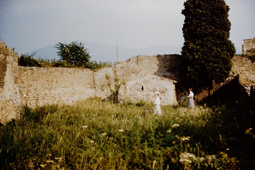 IX.9.6 Pompeii. 1961. Looking south across garden to the domestic sacrarium. Photo by Stanley A. Jashemski.
Source: The Wilhelmina and Stanley A. Jashemski archive in the University of Maryland Library, Special Collections (See collection page) and made available under the Creative Commons Attribution-Non Commercial License v.4. See Licence and use details.
J61f0656