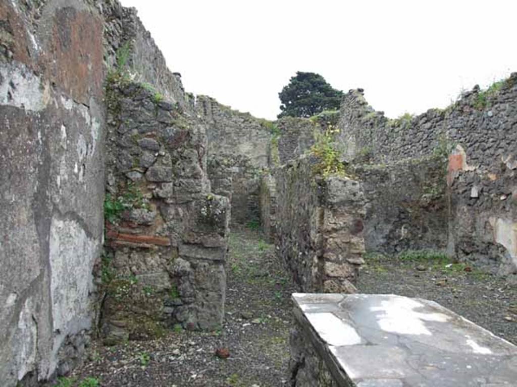IX.9.8 Pompeii. May 2010. Looking south to rear of bar, with corridor leading to IX.9.9.
According to NdS, this corridor had the latrine, a narrow storeroom and the stairs leading to the upper mezzanine, now destroyed. The mezzanine was lit by a small window. Between the narrow storeroom and the stairs was the rear doorway (posticum) IX.9.9, out onto the adjacent eastern roadway.
See Notizie degli Scavi, 1889, p.126