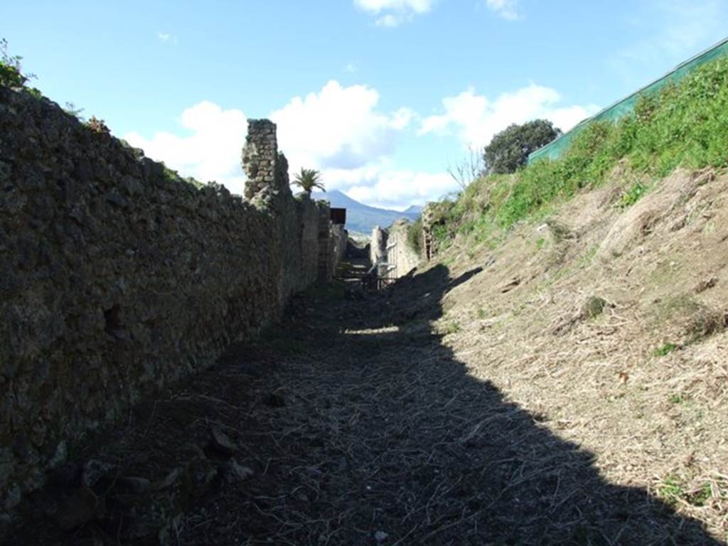 IX.9.10 Pompeii. March 2009. Roadway looking north to Via Nola.