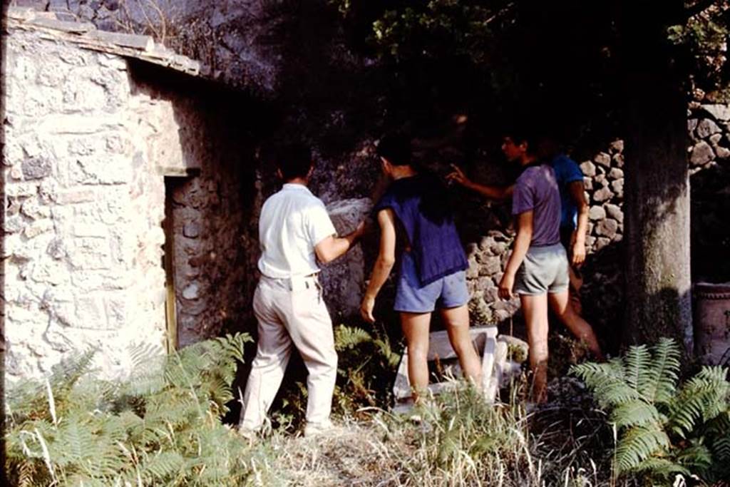 IX.9.10 Pompeii. 1966. Removing the items for safekeeping. Photo by Stanley A. Jashemski.
Source: The Wilhelmina and Stanley A. Jashemski archive in the University of Maryland Library, Special Collections (See collection page) and made available under the Creative Commons Attribution-Non Commercial License v.4. See Licence and use details.
J66f0323