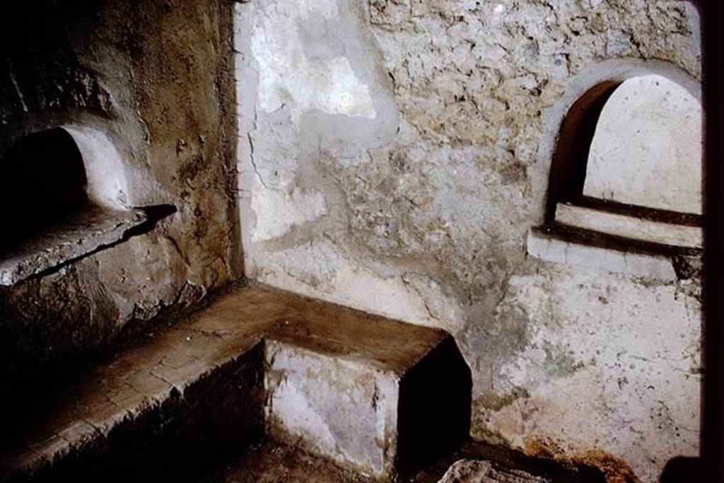 IX.9.10 Pompeii. 1966. North-east corner with two of the niches and a masonry bench. Photo by Stanley A. Jashemski.
Source: The Wilhelmina and Stanley A. Jashemski archive in the University of Maryland Library, Special Collections (See collection page) and made available under the Creative Commons Attribution-Non Commercial License v.4. See Licence and use details.
J66f0345