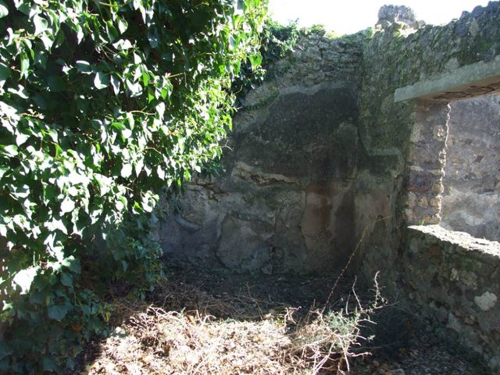 IX.9.11 Pompeii. March 2009. Room 4. Tablinum with window to garden in west wall.