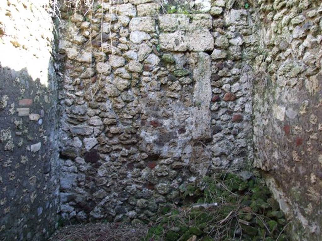 IX.9.13 Pompeii. March 2009. Room 8, Small room. Looking south.
