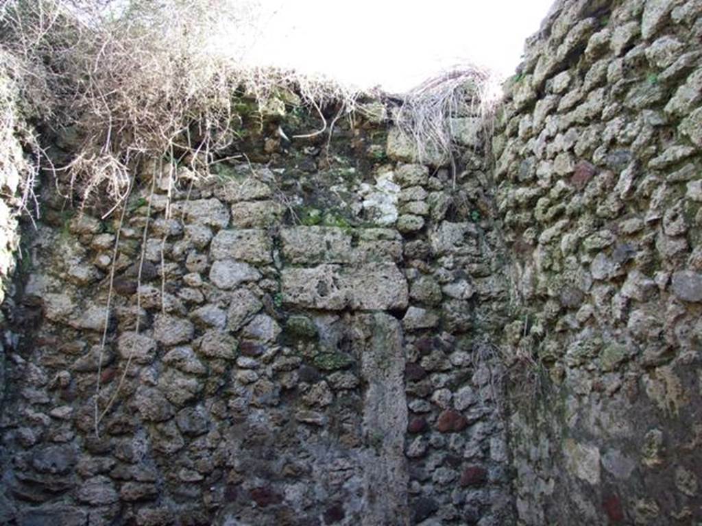 IX.9.13 Pompeii. March 2009. Room 8, Small room, south wall.