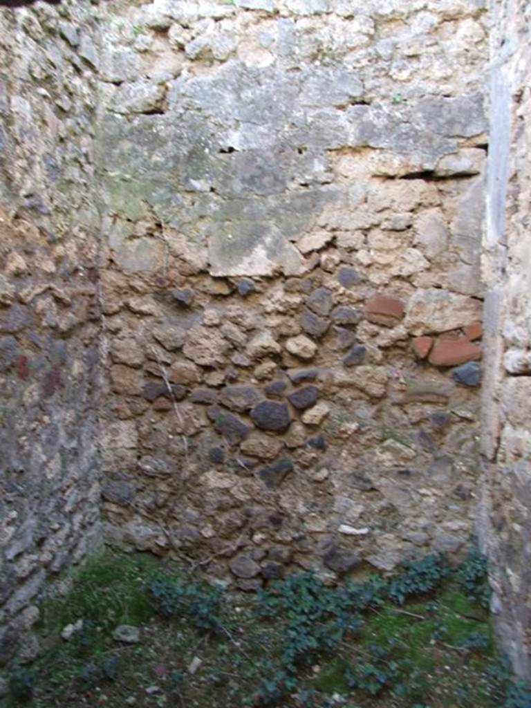 IX.9.13 Pompeii. March 2009. Room 10. Latrine. South wall.