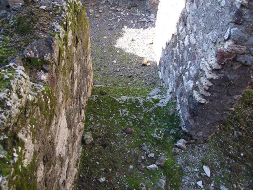 IX.9.a Pompeii. March 2009. Stairs down, from outside doorway to Cubiculum.
