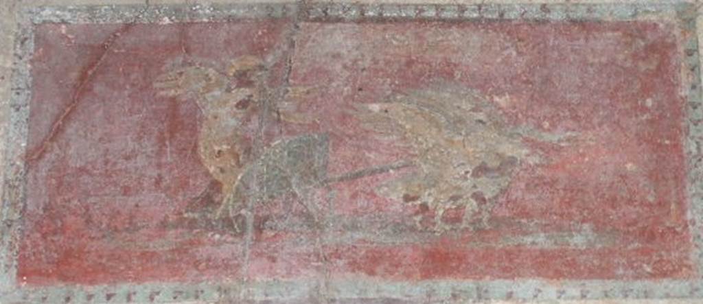 IX.9.c Pompeii. December 2005. Upper centre of west wall, painting of cupids in a chariot pulled by swans.