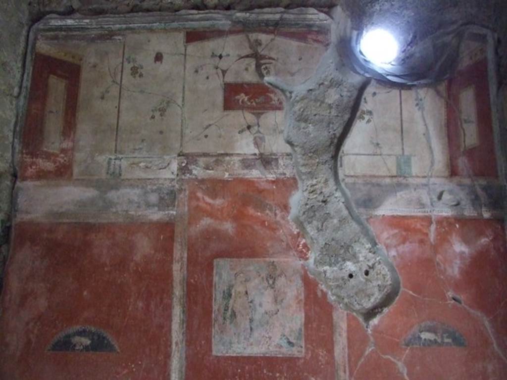 IX.9.c Pompeii. March 2009. Upper east wall of cubiculum. According to NdS, the frieze with a white background was very prettily painted with elegant vine stems. In the centre, on a red background (0.16 high x 0.32 wide) was a painting of a cupid in a chariot pulled by swans. On the west wall the cupid was standing in the chariot guiding the swans. In this picture on the east wall, the cupid had fallen from the chariot.