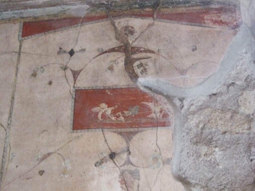 IX.9.c Pompeii. March 2009. Upper east wall of cubiculum. Wall painting of cupid falling from the chariot pulled by swans.
