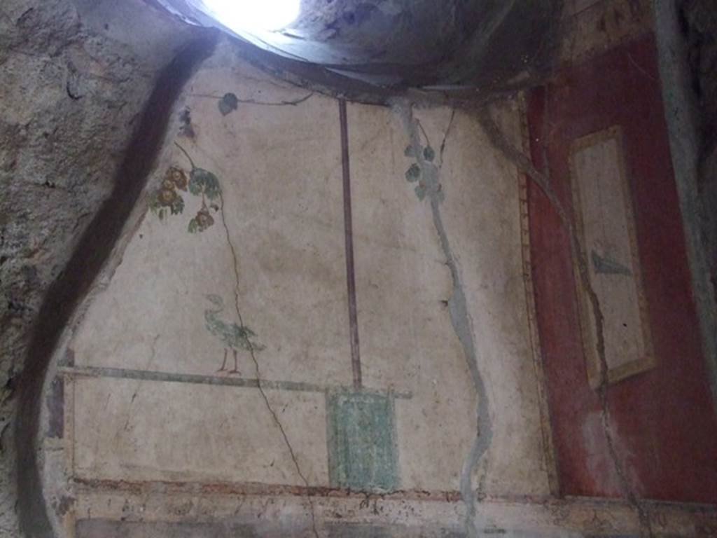 IX.9.c Pompeii. March 2009. Cubiculum. Upper east wall.
