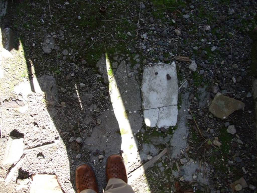 IX.9.f Pompeii. March 2009. Floor in entrance passage. Looking east.