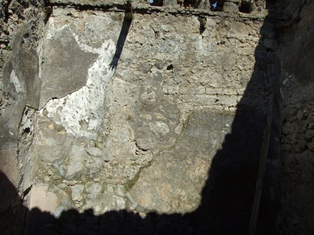 IX.9.f Pompeii. March 2009. Tablinum (or Triclinium?). East wall.