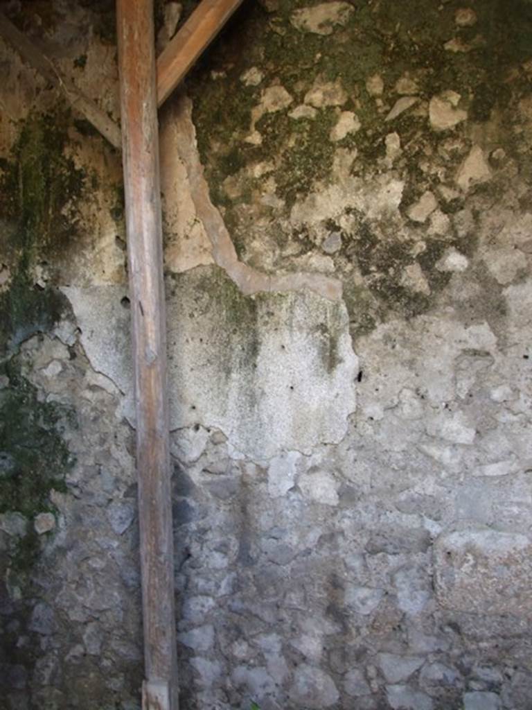 IX.9.f Pompeii. March 2009. Cubiculum. West wall.
