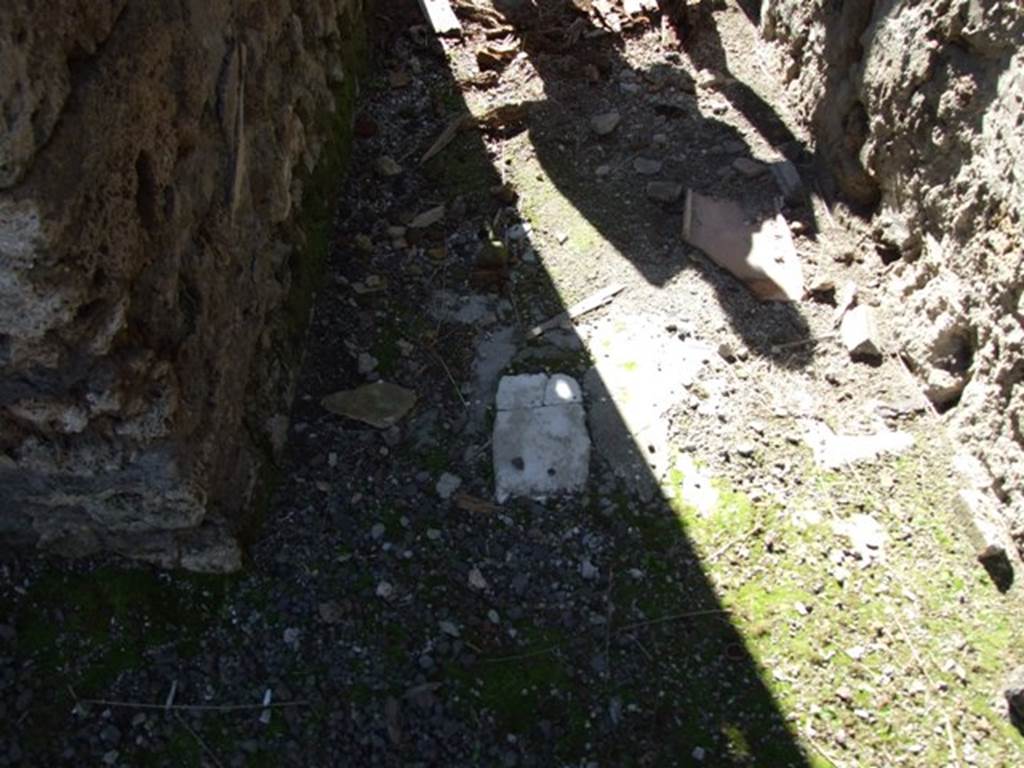 IX.9.f Pompeii. March 2009. Floor in entrance passage. Looking west.