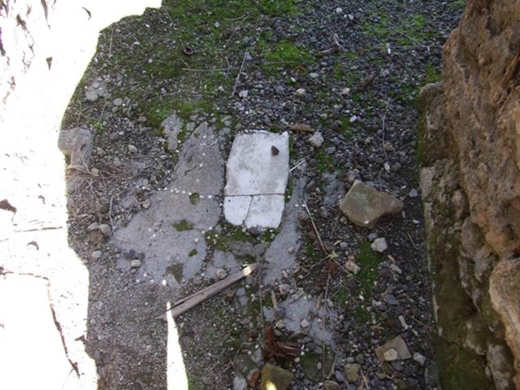 IX.9.f Pompeii. March 2009. Floor in entrance passage. Looking west.