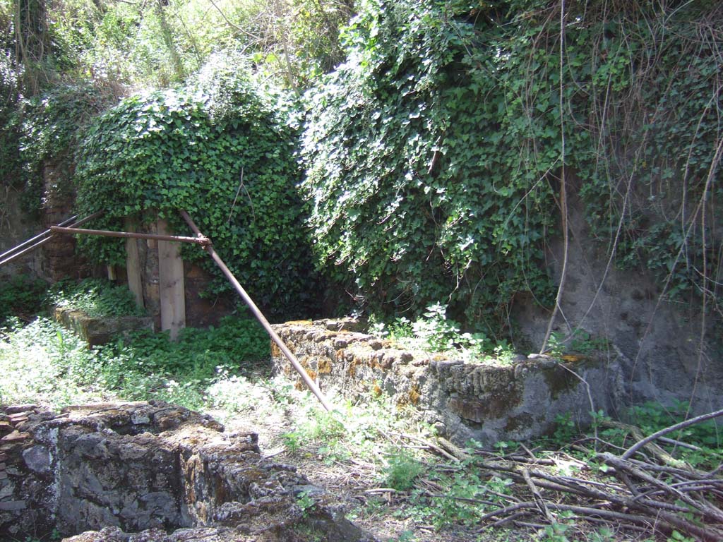 IX.10.2 Pompeii. May 2006. Rectangular water basin (right) on west wall of atrium 2.
There is a laundry set up in the atrium of house number two, with work benches and tubs far washing and dying clothes.
See PAP New excavations in Regio IX
Si tratta di una fullonica (lavanderia) impiantata nell'atrio dell'abitazione al civico 2, con banconi da lavoro e vasche per il lavaggio e la tintura degli abiti.
Vedi PAP Nuovi scavi della Regio IX