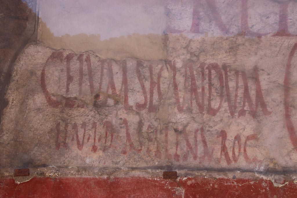 IX.11.3 and IX.11.4 Pompeii. May 2024. Detail of Graffiti between entrances 3 and 4. Photo courtesy of Klaus Heese.