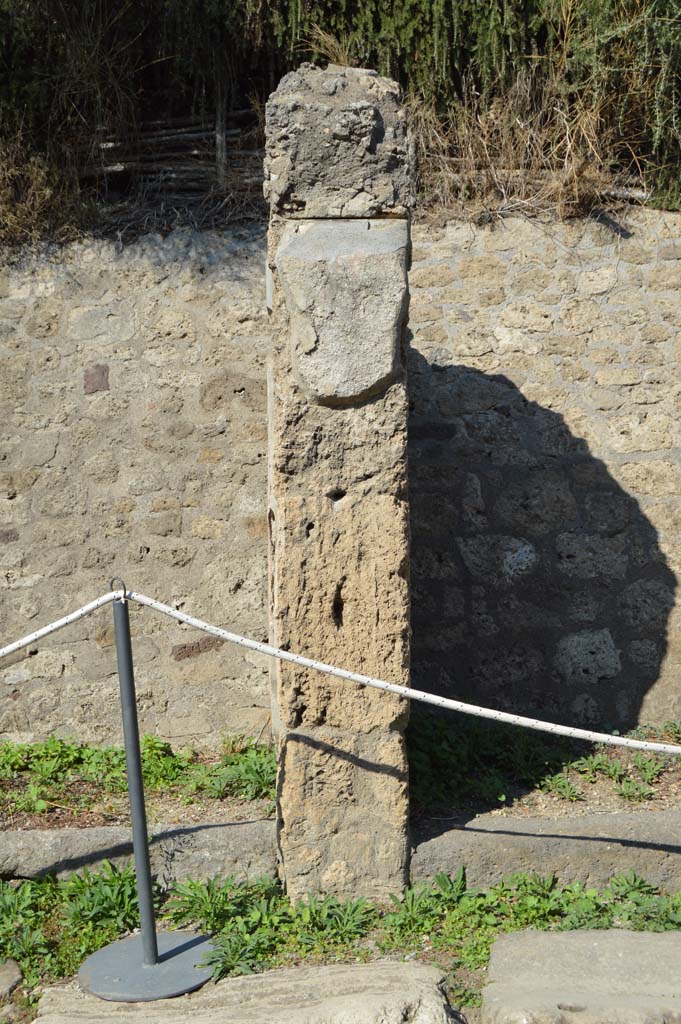IX.11.7 Pompeii. October 2017.
Looking north towards pillar on west (lfet) side of entrance doorway.
Foto Taylor Lauritsen, ERC Grant 681269 DÉCOR.