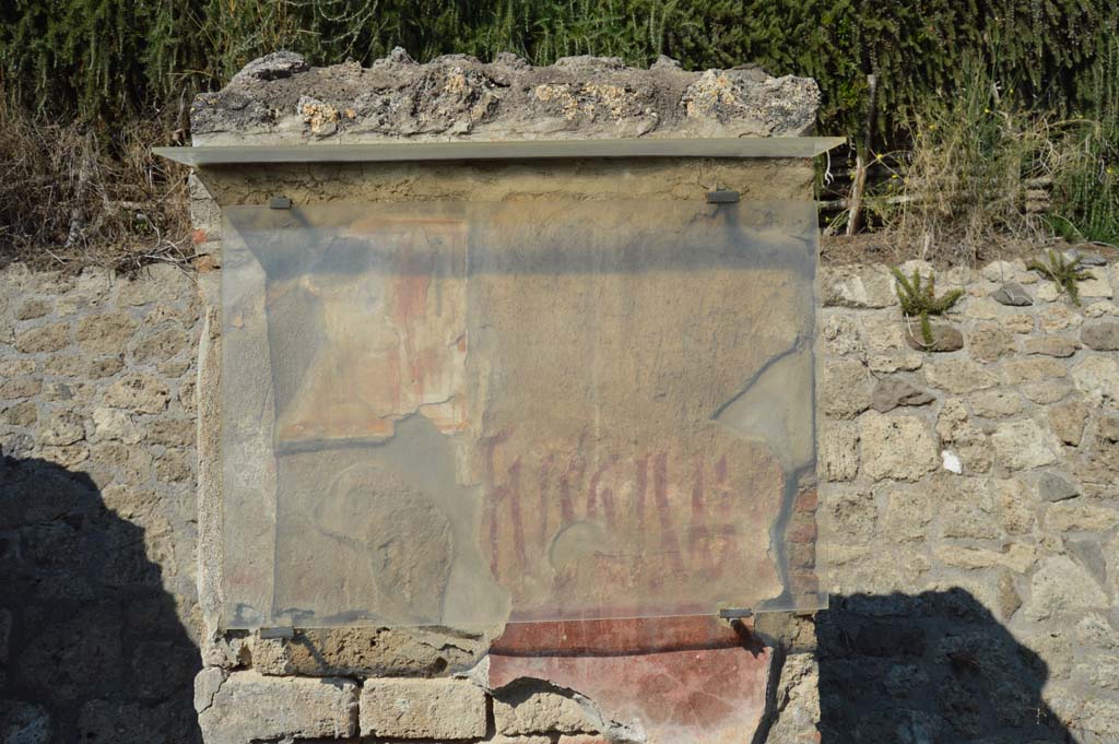 IX.11.7 Pompeii. October 2017.
Pilaster on east side (right) of doorway, with remaining painting of Hercules and graffiti between doorways to IX.11.7 and IX.11.8.
Foto Taylor Lauritsen, ERC Grant 681269 DÉCOR.