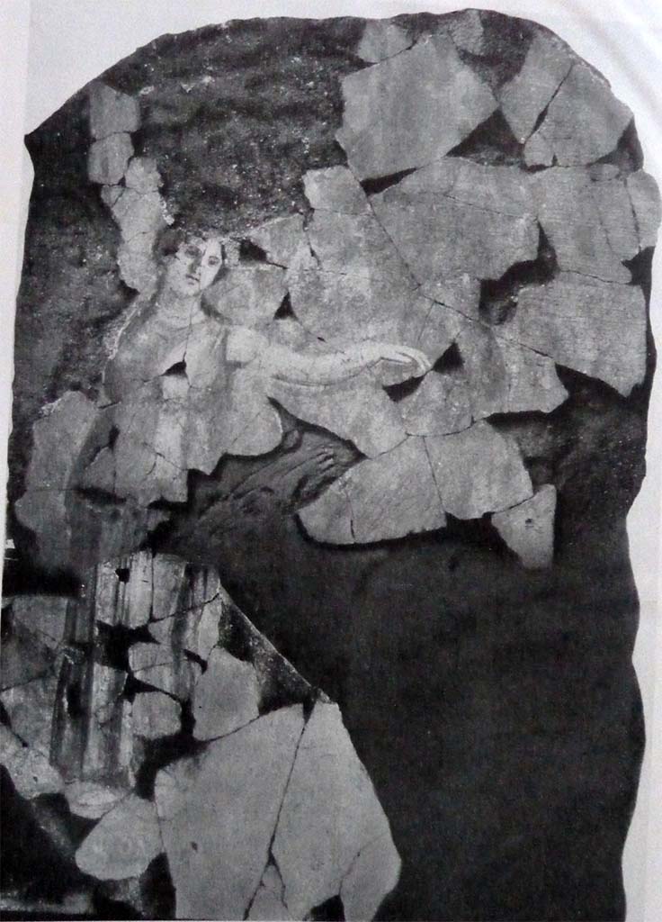 IX.12.2 Pompeii. West wall, a fragment of a painting of the liberation of Andromeda showing the name of Andromeda, painted near the remaining fragments of the figure.
See Spinazzola V., 1953. Pompei alla luce degli Scavi Nuovi di Via dell�Abbondanza (anni 1910-1923). Roma: La Libreria della Stato, fig. 695.
