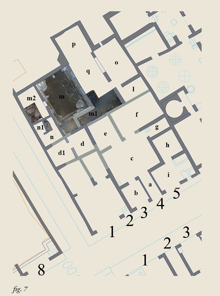 IX.12.1-5 Pompeii. Plan after E-Journal 13, Scavi di Pompei, 28.05.24, fig. 7.
“a” = entrance corridor/fauces
“b” = room on west side of “a”, shop IX.12.3, linking with atrium “c”
“c” = atrium
“d” and “d1” = room on north-west side of atrium “c”, with doorway to room “e”
“e” = room on north side at atrium “c”
“f” = room on north-east side of atrium “c”
“g” = small room on south side of room “f”
“h” = Rear room of IX.12.5
“i” = Shop at IX.12.5
“l” = Room with red walls
“m” = Small courtyard
“m1” = Corridor
“m2” = Room with collapsed roof
“n” = Room on west side of courtyard “m”
“n1” = Small room inside room “n”
“o” = Large room in north-east corner
“p” = Room at rear of room “q”
“q” = Room with hearth