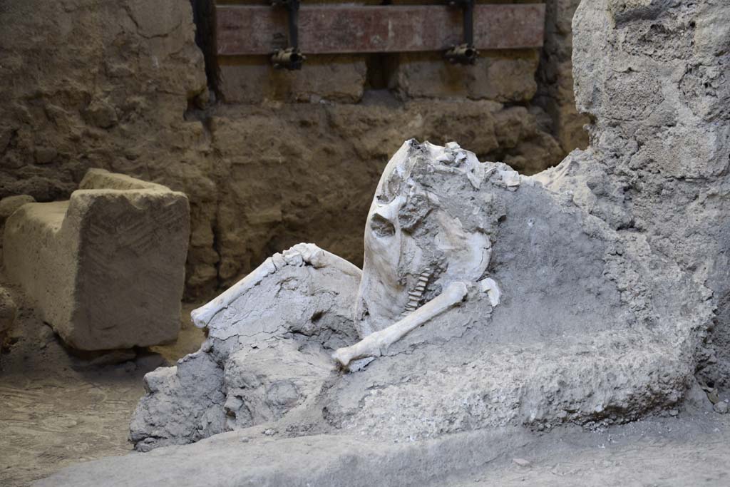 IX.12.8 Pompeii. February 2017. Detail of head of skeleton of mule or donkey in doorway of stable “n”. Photo courtesy of Johannes Eber.