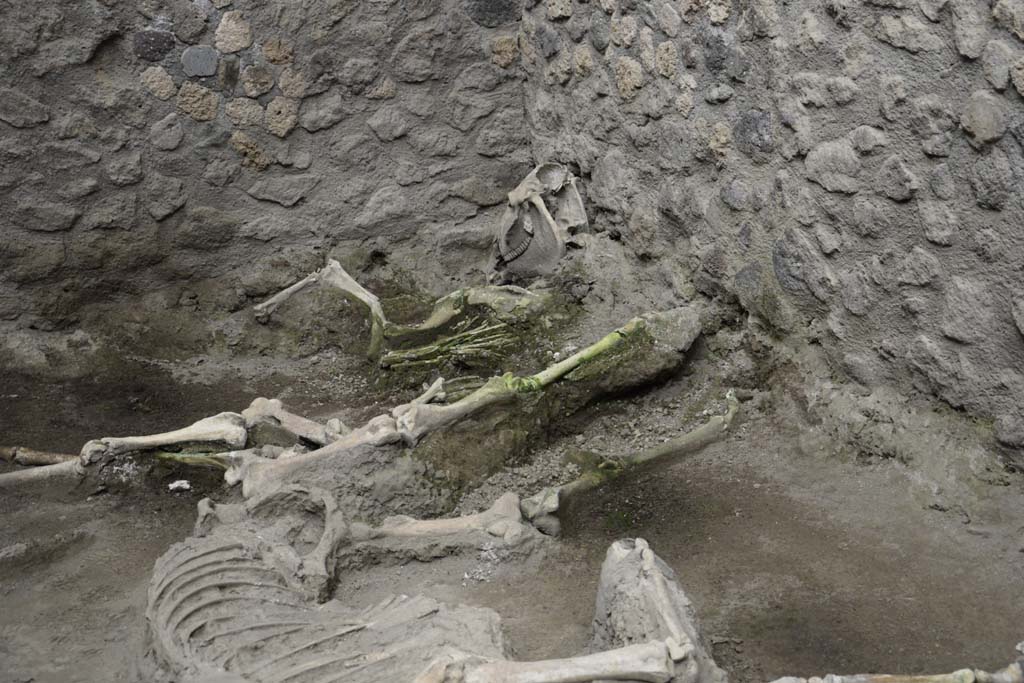 IX.12.8 Pompeii. February 2017. North-east corner of stable “n”. Photo courtesy of Johannes Eber.