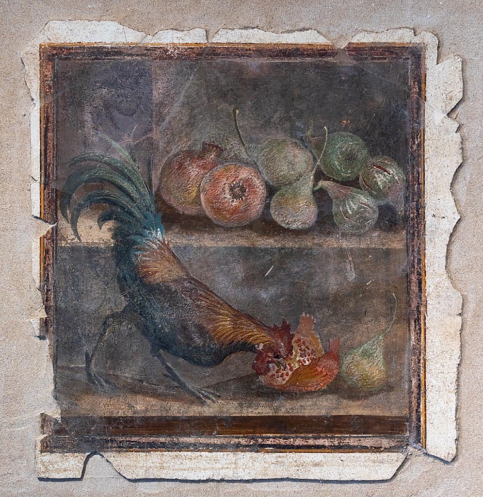 IX 12,9 Pompeii. January 2024.
Wall painting of chicken and fruit, from so-called room 16, east wall. PAP inv. 86719. Photo courtesy of Johannes Eber.