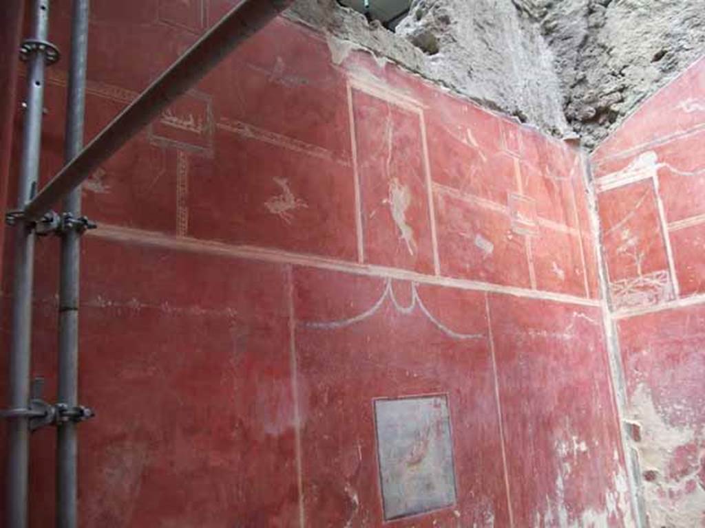 IX.12.9 Pompeii. May 2010. Room 3, north wall, upper zone.