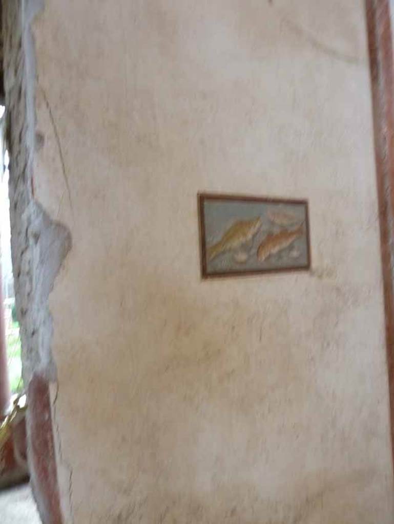 IX.12.9 Pompeii. May 2010.
Room 13, south wall on west side of doorway to north portico 5b. Painting of fishes.