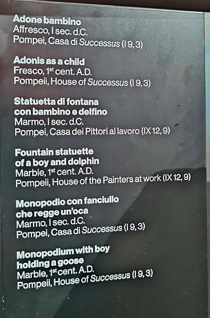 March 2024.
Information description card from exhibition in the Palaestra. Photo courtesy of Giuseppe Ciaramella.