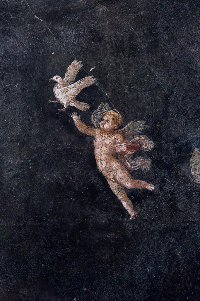 IX.12.A/IX.12.9 Pompeii. July 2024. 
Room 18, west end of south wall, with detail of painted Cupid and bird. Photo courtesy of Johannes Eber.


