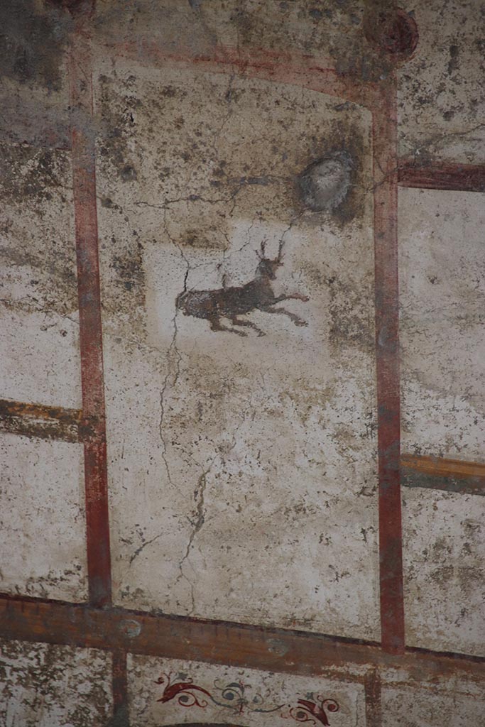 IX.12.9 Pompeii. October 2024.
Room 13, detail from centre of upper north wall. Photo courtesy of Klaus Heese.