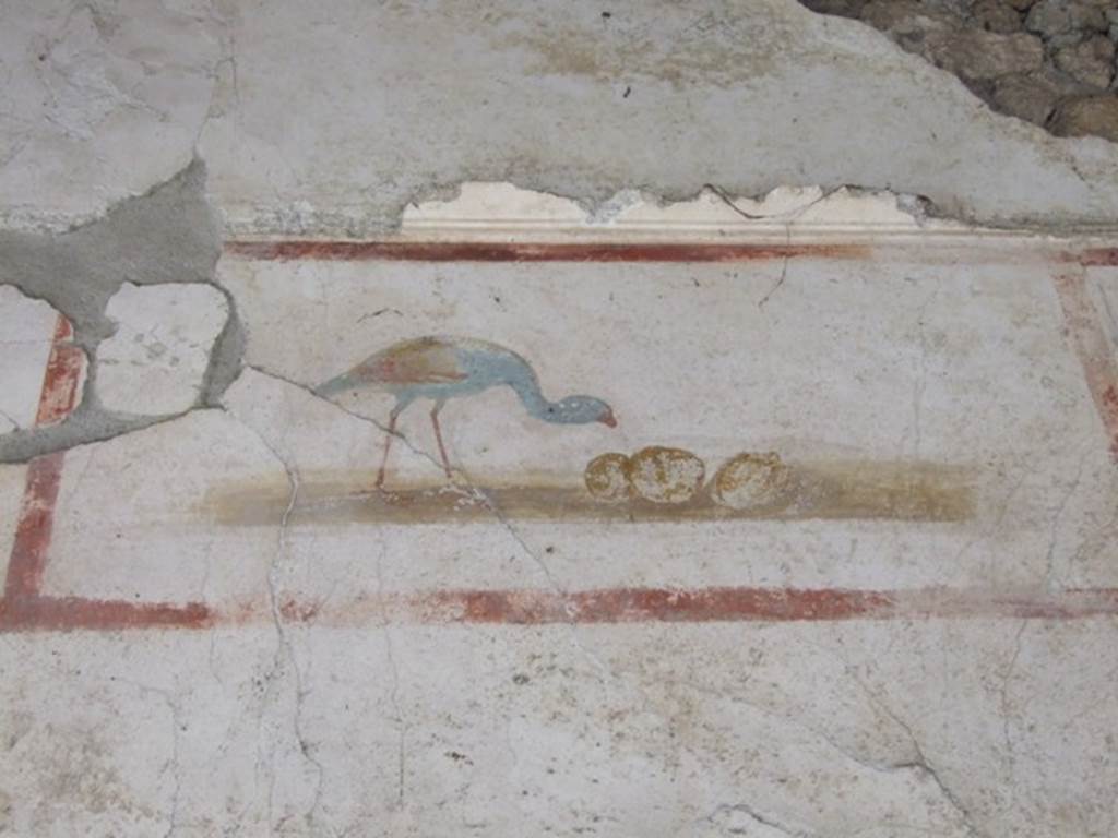 IX.13.1-3 Pompeii. March 2009. Room 9, upper level on north wall of north portico, between the doorways to rooms 11 and 10. Painting of bird and fruit.
