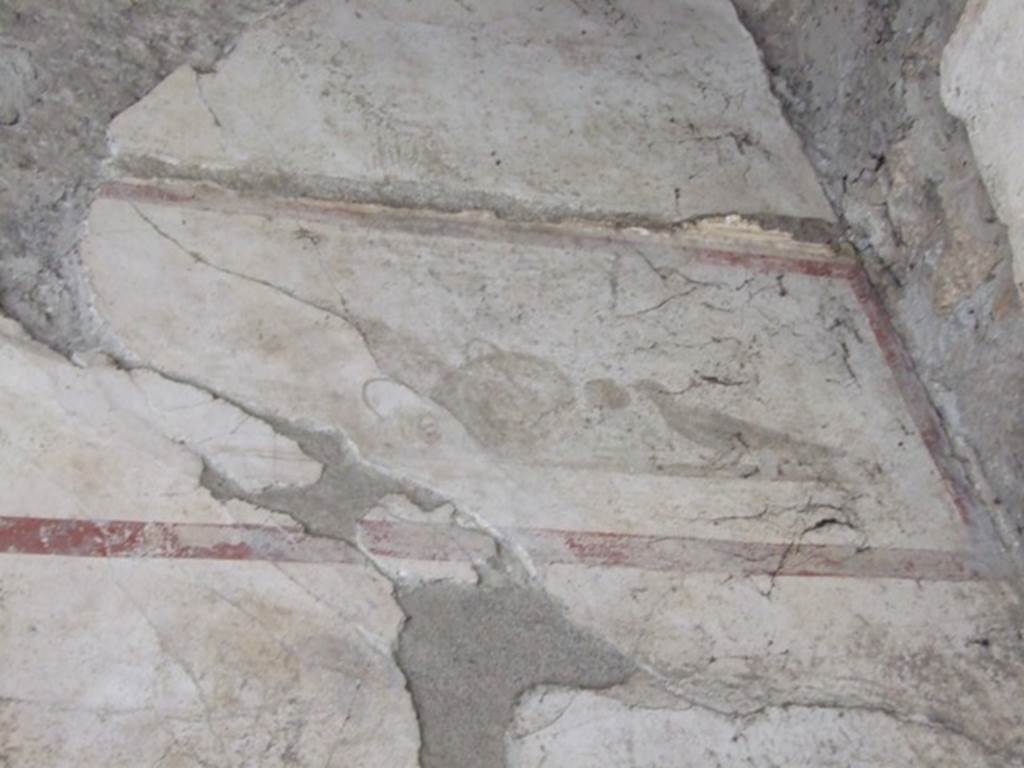 IX.13.1-3 Pompeii. March 2009. Room 9, upper level on north wall in the north east corner of the portico. Painting of bird and food.