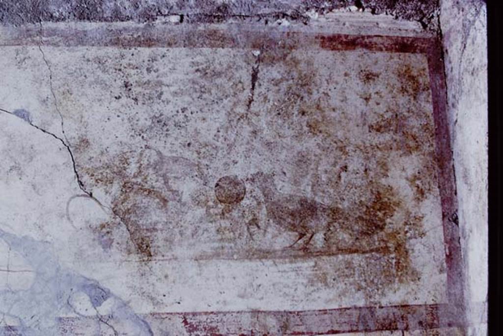IX.13.1-3 Pompeii. 1972. Room 9, detail from upper level on north wall in the north east corner of the portico. Painting of bird and food. Photo by Stanley A. Jashemski.
Source: The Wilhelmina and Stanley A. Jashemski archive in the University of Maryland Library, Special Collections (See collection page) and made available under the Creative Commons Attribution-Non Commercial License v.4. See Licence and use details. J72f0438