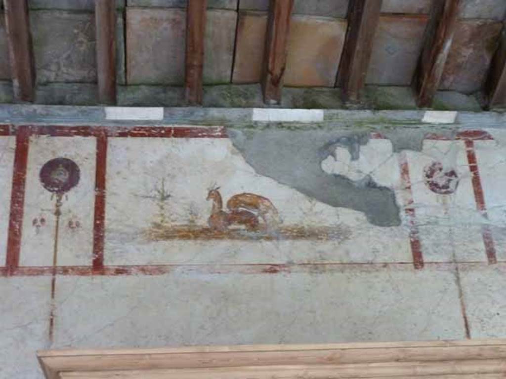 IX.13.1-3 Pompeii. May 2010. Room 9, painting of deer on upper east wall.