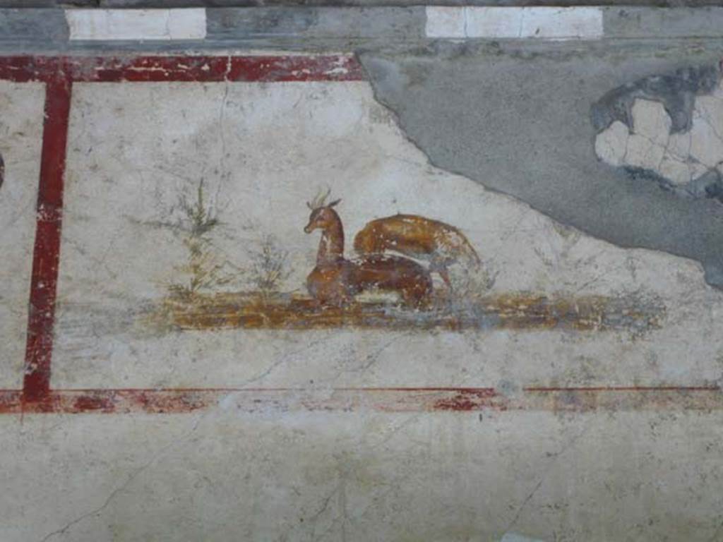 IX.13.1-3 Pompeii. May 2012. Room 9, detail of painting of deer on upper east wall.
Photo courtesy of Buzz Ferebee.
