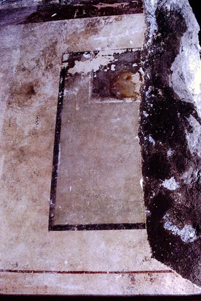 IX.13.1-3 Pompeii. 1972. Room 9, remains of still-life from upper south wall above doorway to room 7. Photo by Stanley A. Jashemski.
Source: The Wilhelmina and Stanley A. Jashemski archive in the University of Maryland Library, Special Collections (See collection page) and made available under the Creative Commons Attribution-Non Commercial License v.4. See Licence and use details. J72f0454