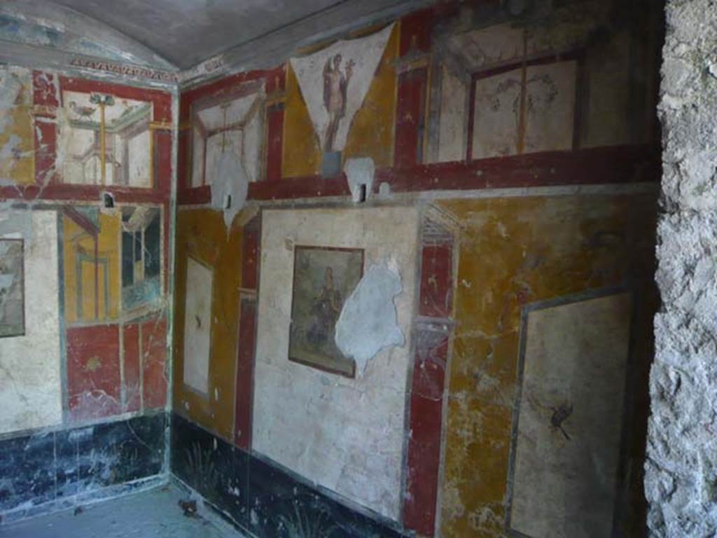 IX.13.1-3 Pompeii. May 2012. Room 17, west wall. Photo courtesy of Buzz Ferebee.