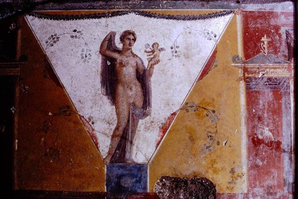 IX.13.1-3 Pompeii. 1972. Room 17, painted figure from west wall. Photo by Stanley A. Jashemski.
Source: The Wilhelmina and Stanley A. Jashemski archive in the University of Maryland Library, Special Collections (See collection page) and made available under the Creative Commons Attribution-Non Commercial License v.4. See Licence and use details. J72f0456